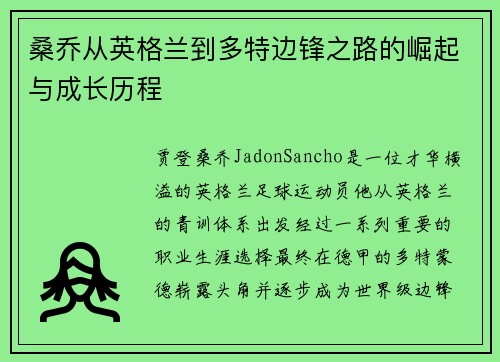 桑乔从英格兰到多特边锋之路的崛起与成长历程 桑乔从英格兰到多特边锋之路的崛起与成长历程